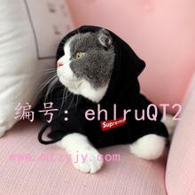 ̫