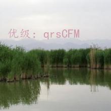 ̨