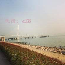 ˳