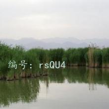 Զ