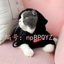 Ŀ