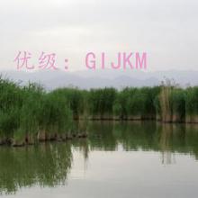 ѧ
