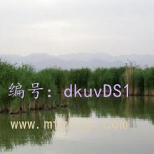 ɹ