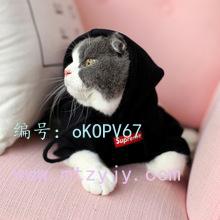 ˫