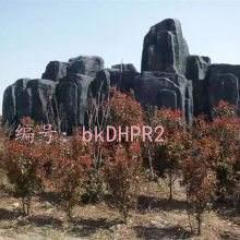 ɹ