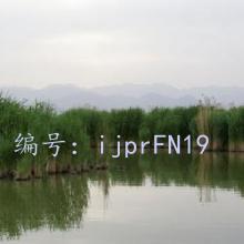 ɹ