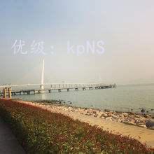 ˫