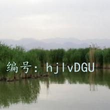 α