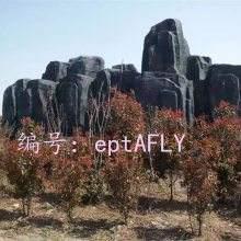 Զ